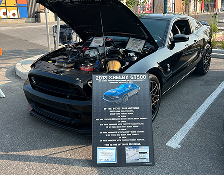 Shelby Mustang Car Show Board